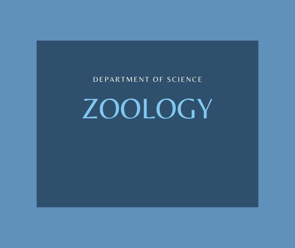 Zoology 